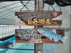 あまごつかみ🐟そうめん流し